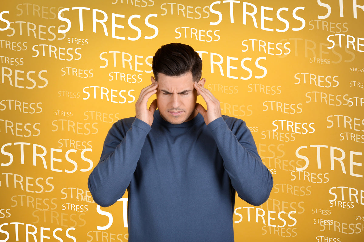 Stress and Anxiety: Herbs, Supplements, and Other Natural Remedies