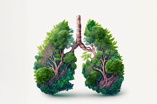Natural Ways to Cleanse Your Lungs